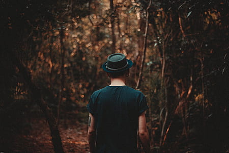 person walking towards forest thumbnail