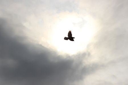 low angle of angle in flight thumbnail