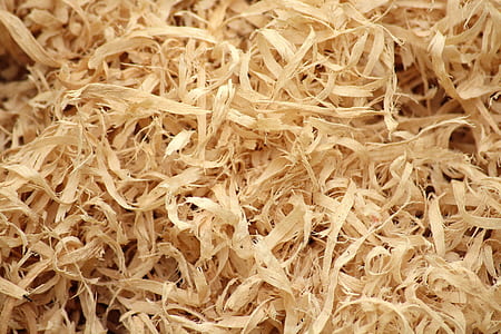 photo of wood chunk lot during daytime thumbnail