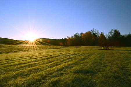 green grass field and green trees under blue sky at daytime thumbnail