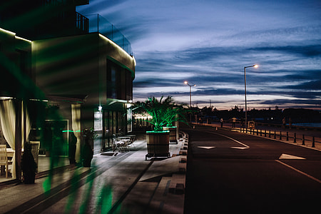 Illuminated palm trees thumbnail
