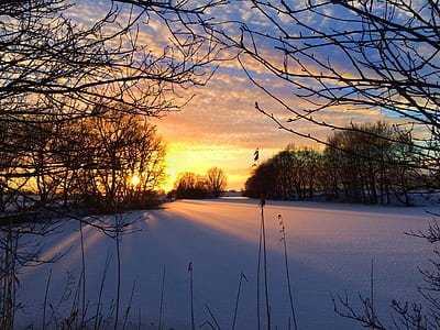 snow field thumbnail