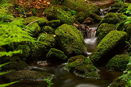waterfalls surrounded by stones and plants thumbnail