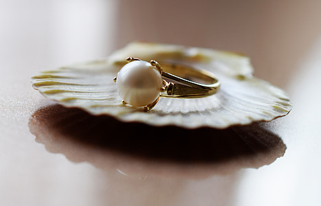 gold ring on top of shell thumbnail