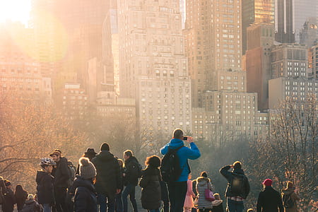 person standing near trees overlooking high rise buildings thumbnail