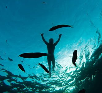 worm's eye view of man swimming on sea thumbnail