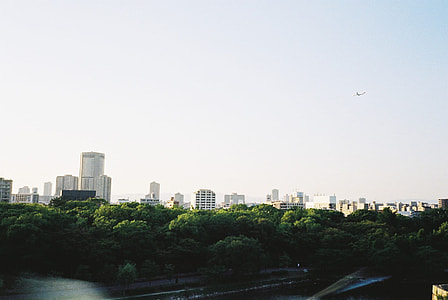 green leaf trees near city under white and blue sky during daytime thumbnail