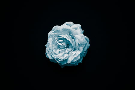white and blue floral wreath thumbnail