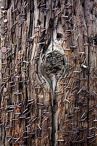 closeup photography of brown and black tree thumbnail