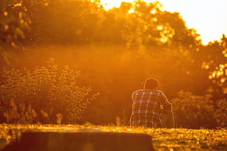 dawn, landscape, nature, sky thumbnail
