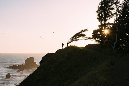 silhouette of person near cliff thumbnail