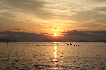 body of water during golden hour thumbnail