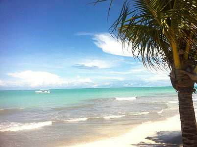 photo of white boat on sea thumbnail