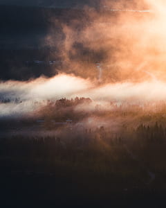 green trees covered with fog thumbnail