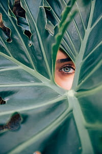 woman peeking on green leaf thumbnail