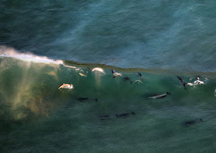 person surfing on teal sea wave thumbnail