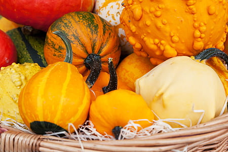 basket of squash thumbnail