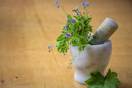 healthy, wood, flowers, summer thumbnail