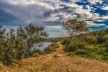 green leaf trees and grass on cliff by the sea under cloudy sky thumbnail