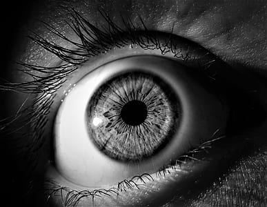 grayscale photo of person's eye thumbnail