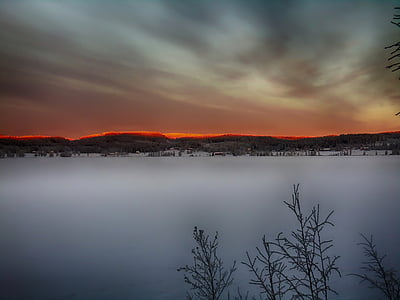 plant surround snow during sunset thumbnail