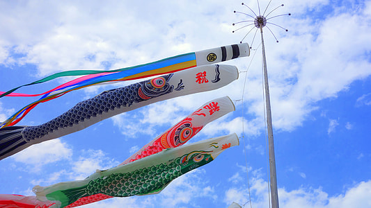 four assorted-color fish kites hanging on pole thumbnail
