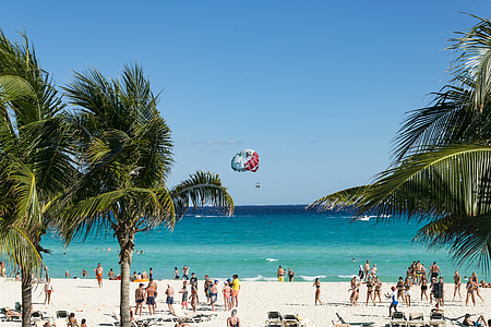 people on white sand beach shore during daytime thumbnail