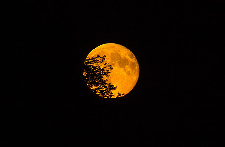 full moon photo thumbnail