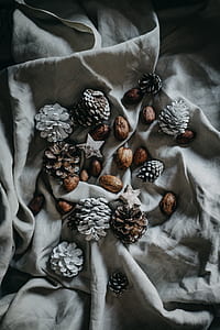 white pinecones on top of gray textile thumbnail