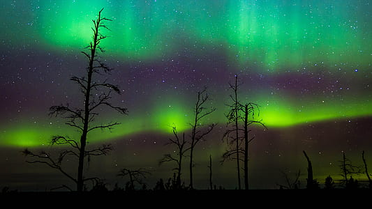 Aurora northern lights thumbnail