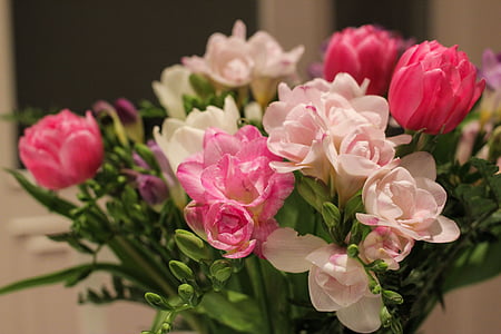 white and pink petaled flowers thumbnail