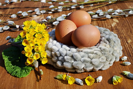 three native eggs on white fur wreath thumbnail