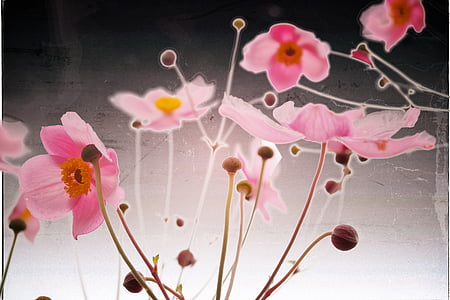 pink flowers painting thumbnail