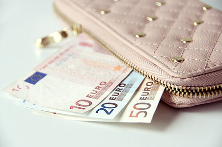 10, 20, and 50 Euro banknotes in pink wallet thumbnail