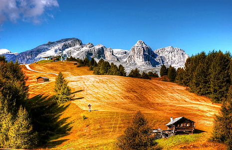 photo of pine trees and brown mountain under blue sky thumbnail
