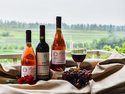 wine bottles beside wine glass thumbnail