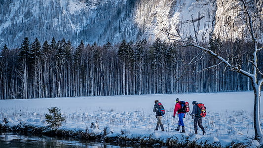 three person walking on snow near trees thumbnail