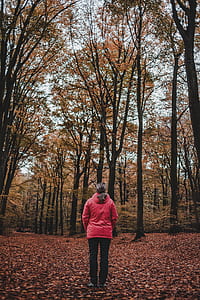 woman standing near forest thumbnail