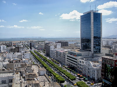 aerial photography of urban city during daytime thumbnail