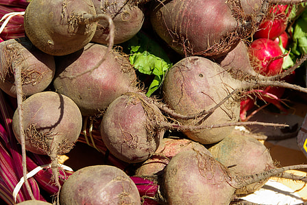 bunch of sweet potatoes thumbnail