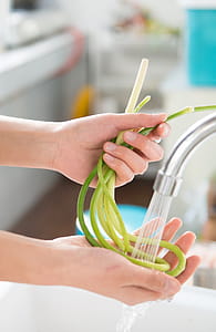 Person Holding Green Vegetable thumbnail