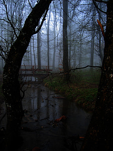 wooden bridge surrounded by withered trees thumbnail