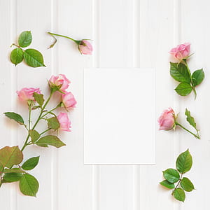 white printer paper beside pink petaled flowers thumbnail