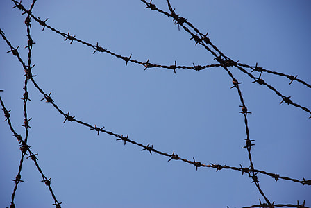 Concentration Camp, War thumbnail