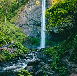 wood, landscape, nature, water thumbnail