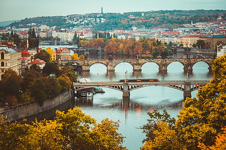 Autumn Colors in Prague, Czechia thumbnail