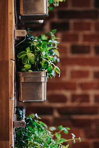 Fancy interior with a red brick wall thumbnail
