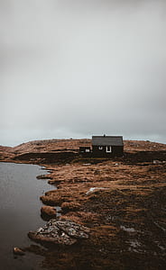 black house on brown grass field near body of water thumbnail