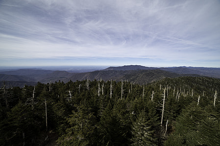 Trees and mountaintops landscape at Clingman's Dome, Tennessee thumbnail