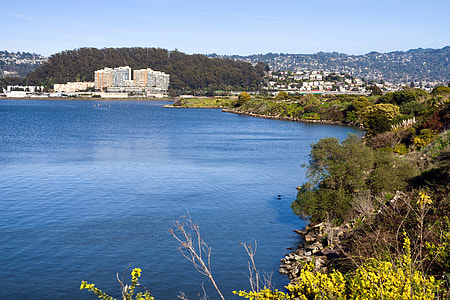 Lake Landscape in Albany, California thumbnail
